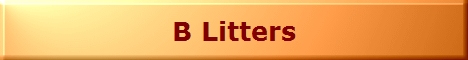 B Litters