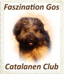 Logo Catalenclub